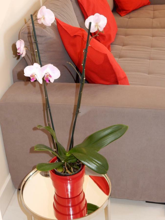Beach & Sea Apt, Fast Wifi, Airco, Private Parking And Pool Portimão Exterior photo